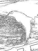 dolphin Itulau Lanu Lolomi